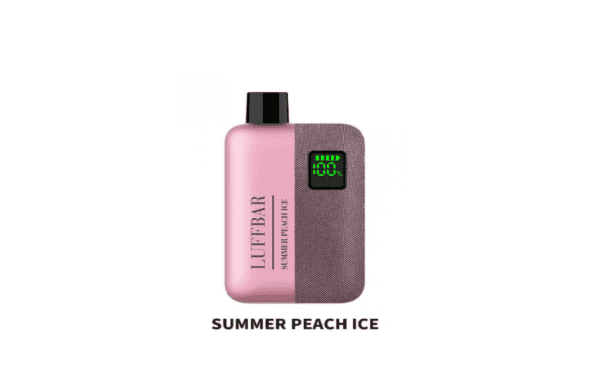 Pod Descartável - Luffbar 9000 Puffs - Summer Peach Ice