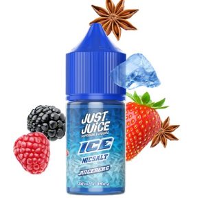Juice Berg – Ice Salt – Just Juice – 30ml