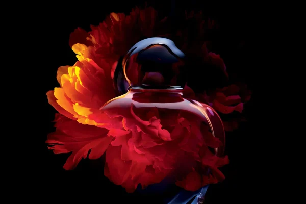 HYPNOTIC POISON DIOR - PERFUME FEMININO - EAU DE TOILETTE - Imagem 4