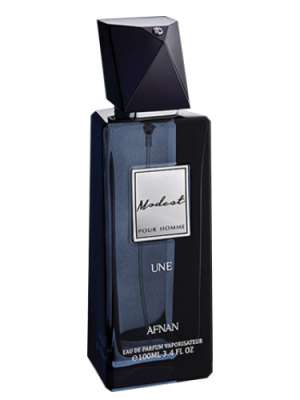 MODEST POUR HOMME - AFNAN - PERFUME MASCULINO - EAU DE PARFUM